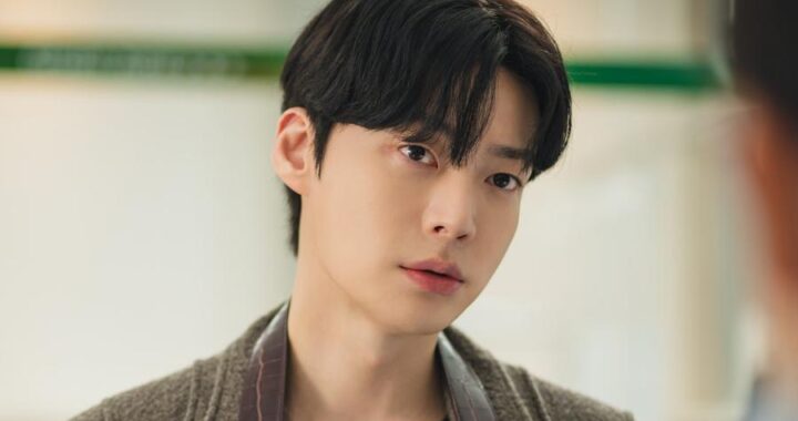 อันแจฮยอน(Ahn Jae Hyun) เป็นหมอรูปหล่อที่ได้รับความสัมพันธ์จอมปลอมในบทบาทละครเรื่องแรกในรอบ 3 ปี